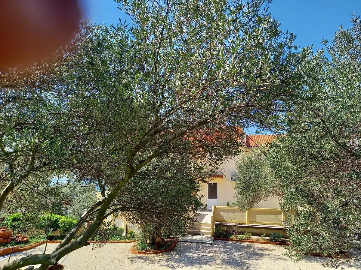 Apartment Levanda Supetarska Draga Croatia